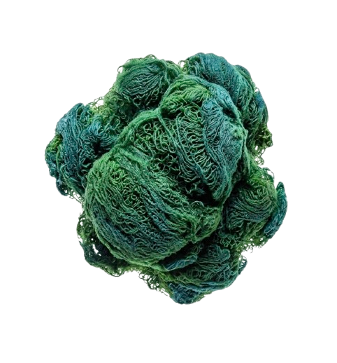 Spirulină*
