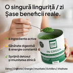 In Green, Mix Verde ECO anti-balonare, detoxifiant, pentru talie suplă, 200g (#1 Best Seller)