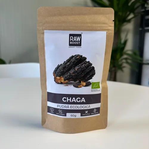 Chaga Pudră Ecologică 60g | Rawboost