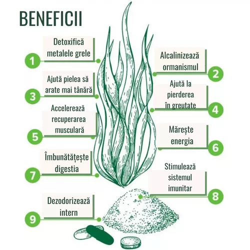 Chlorella Pudră Ecologică - proprietăți de detoxifiere,  250g