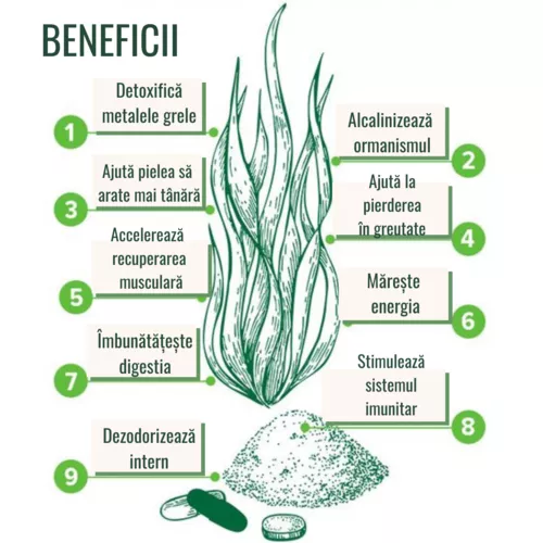 Chlorella Tablete Ecologice - proprietăți de detoxifiere