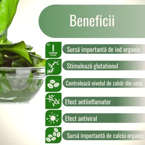 Kelp Pudră Ecologică Crudă - poate contribui la menținerea sănătății tiroidei, 250g
