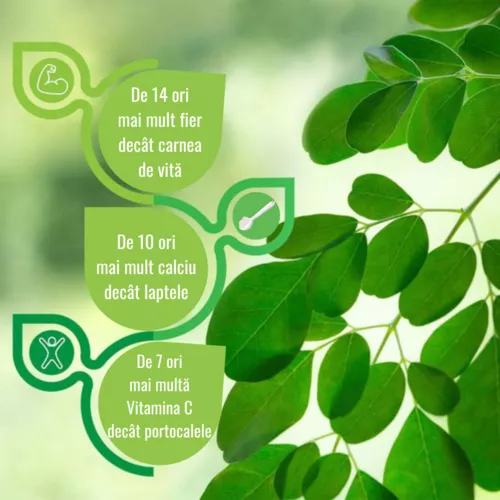 Moringa Pudră Ecologică - folosită în combaterea malnutriției, 125g